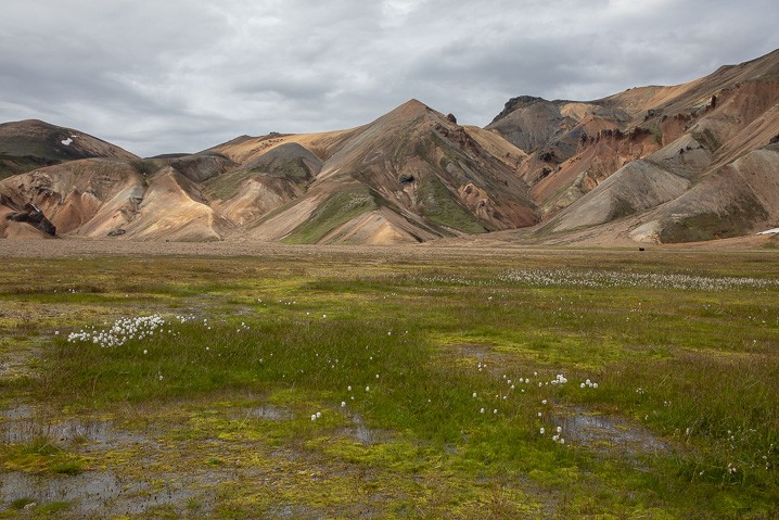 Landschaft